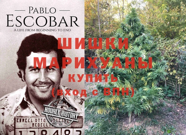 герыч Новозыбков