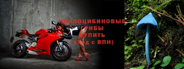 герыч Новозыбков