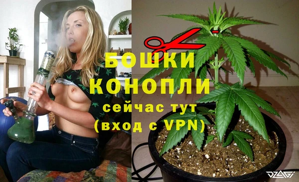 прущие крисы Ветлуга