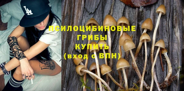 spice Видное