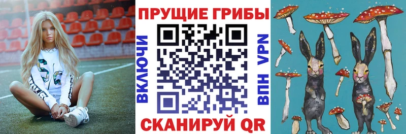 Псилоцибиновые грибы Psilocybine cubensis  даркнет сайт  Подпорожье 